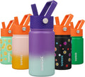 BJPKPK Insulated Water Bottle with Straw Lid, 15 oz Stainless Steel Metal Water Bottles, Reusable Leak Proof BPA Free Thermo, Flask, Cups - Lavender