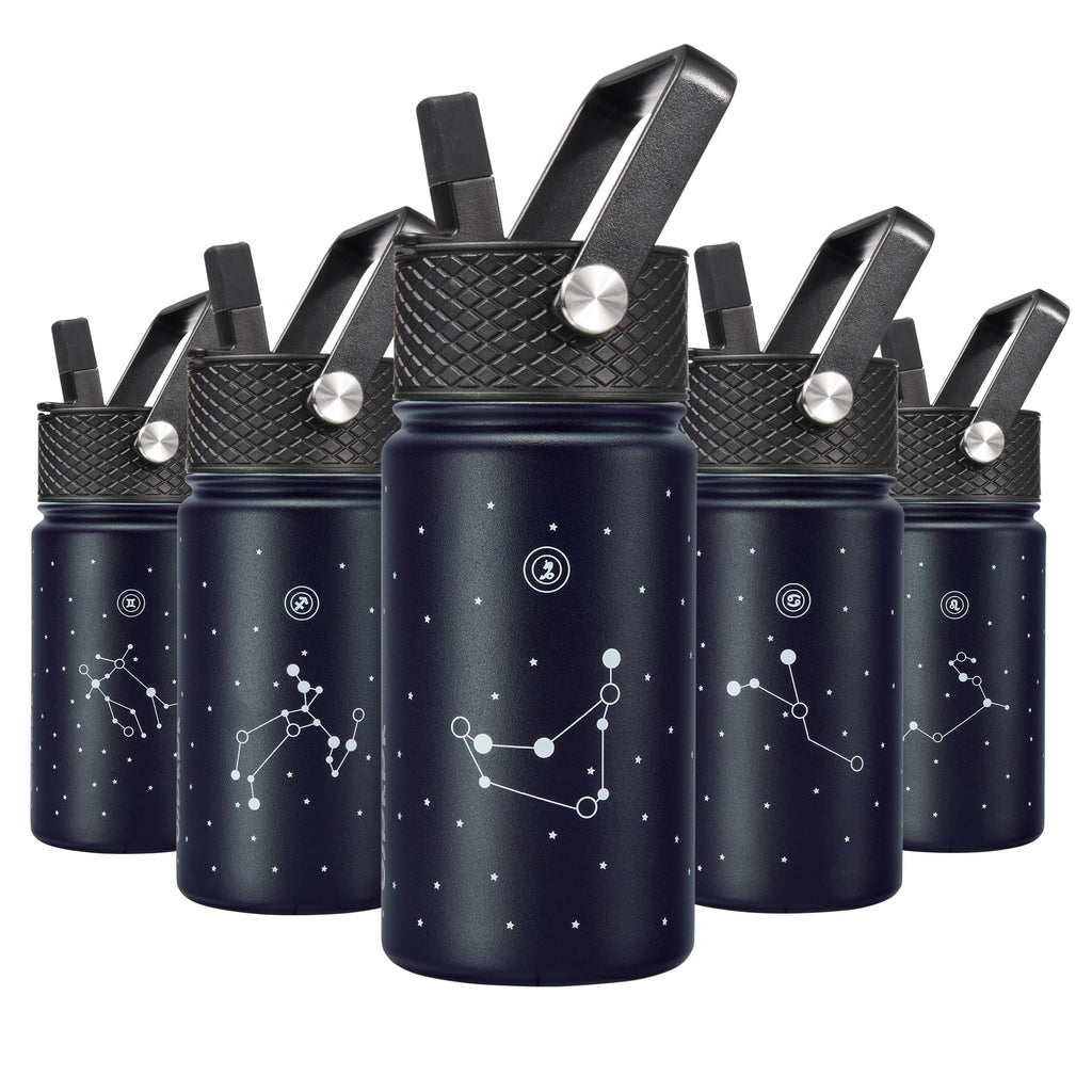 BJPKPK Insulated Water Bottle with Straw Lid, 15 oz Stainless Steel Metal Water Bottles, Reusable Leak Proof BPA Free Thermo, Flask, Cups - Lavender