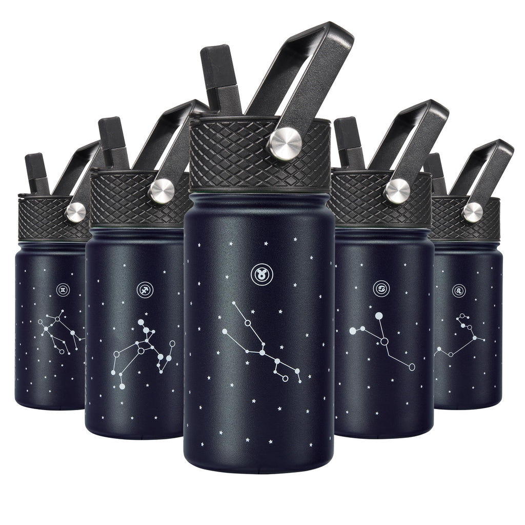 BJPKPK Insulated Water Bottle with Straw Lid, 15 oz Stainless Steel Metal Water Bottles, Reusable Leak Proof BPA Free Thermo, Flask, Cups - Lavender