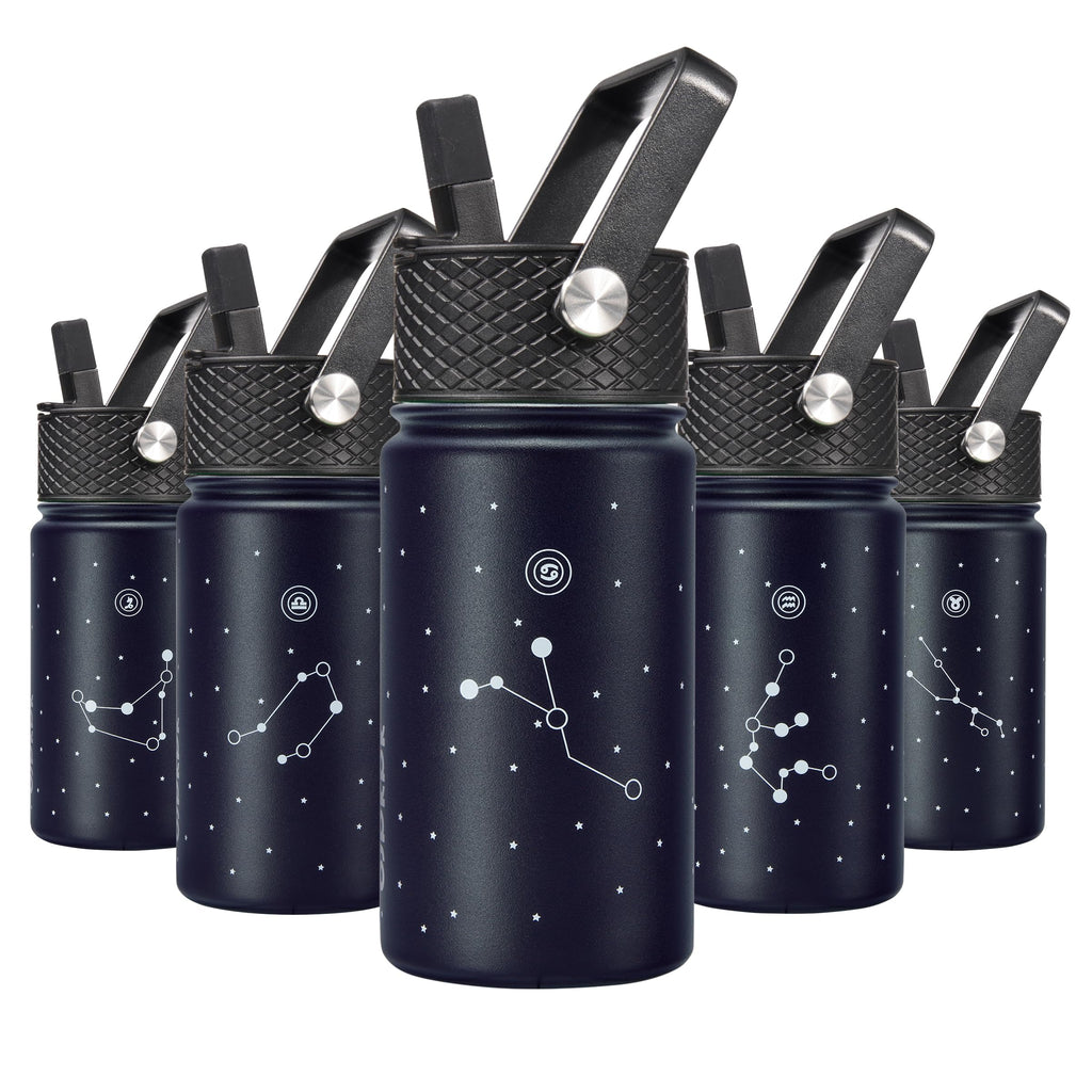 BJPKPK Insulated Water Bottle with Straw Lid, 15 oz Stainless Steel Metal Water Bottles, Reusable Leak Proof BPA Free Thermo, Flask, Cups - Lavender